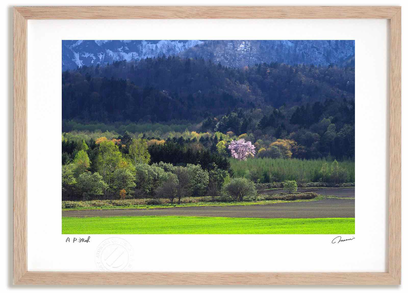 �����ȥե��� ���� ���ФȺ�11 �ⶶ����/����ƥꥢ ������ ������ ���ʲ� ���� �ݥ����� ������ �����ȥѥͥ� ��ӥ� ���� �ץ쥼��� ����� ������...