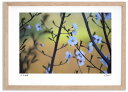 最大100%ポイントバック!限定抽選 アートフォト 絵画 桜12 高橋真澄/インテリア 額入り 額装込 風景画 油絵 ポスター アート アートパネル リビング ...