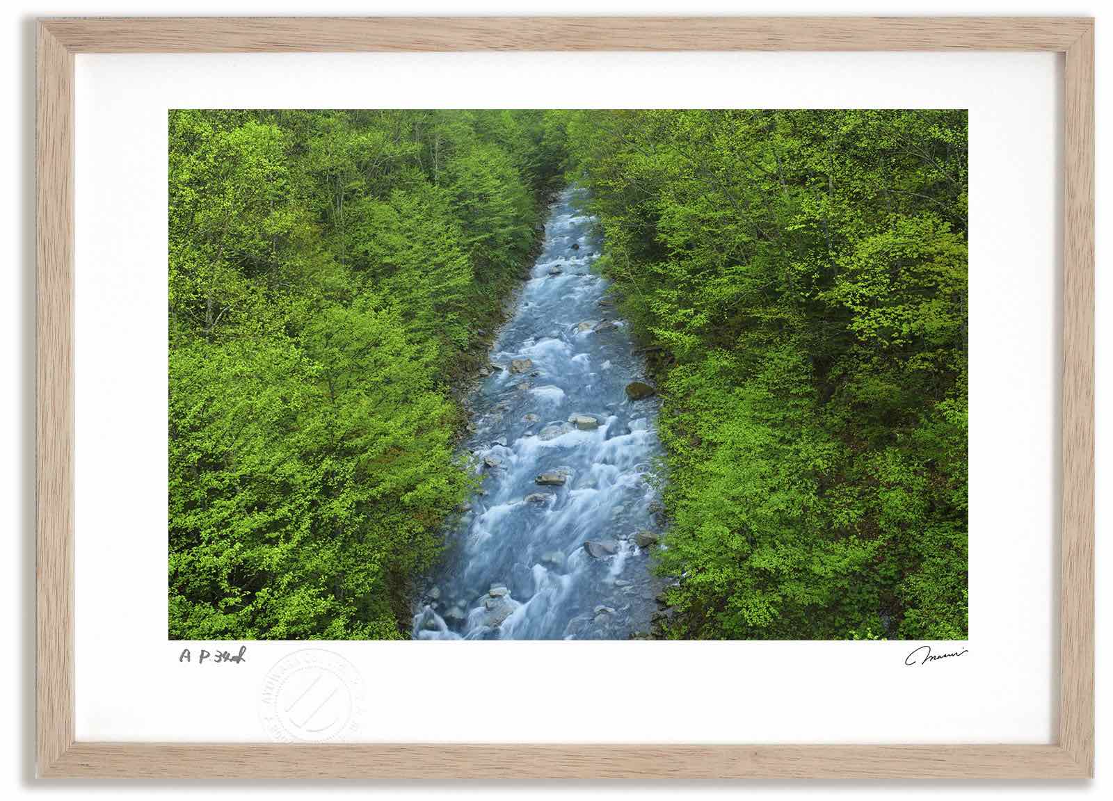 【スーパーSALE半額】アートフォト 絵画 新緑の美瑛川2 高橋真澄/インテリア 額入り 額装込 風景画 油絵 ポスター アート アートパネル リビング 玄関 ...