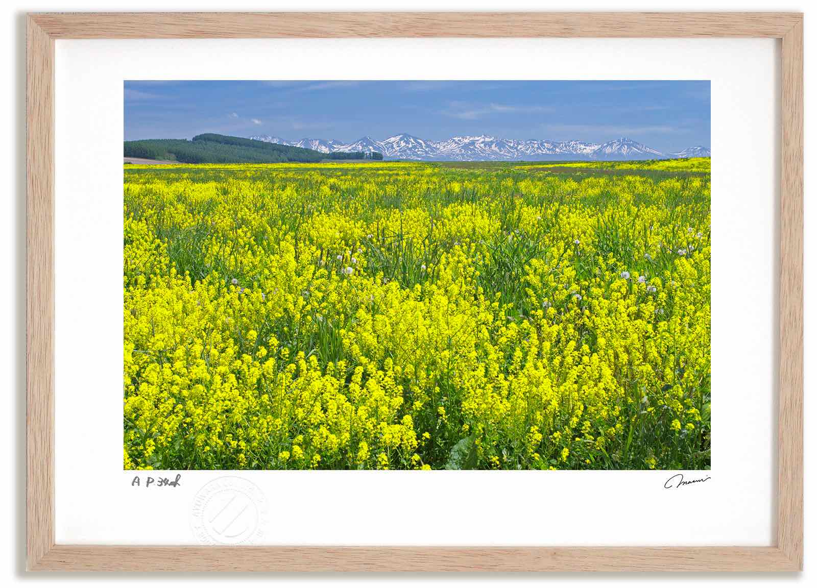 【スーパーSALE半額】アートフォト 絵画 旭川空港のキガラシ/西神楽町 高橋真澄/インテリア 額入り 額装込 風景画 油絵 ポスター アート アートパネル リ...