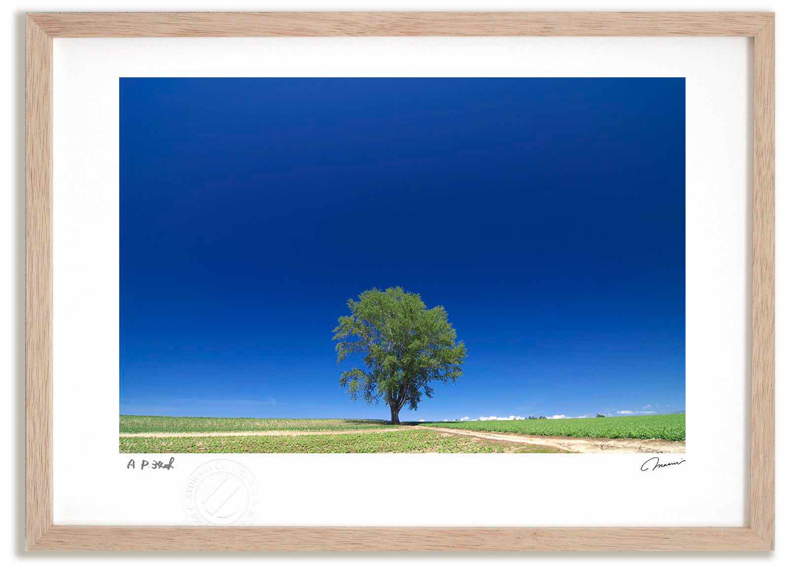 【スーパーSALE半額】アートフォト 絵画 哲学の木2 高橋真澄/インテリア 額入り 額装込 風景画 油絵 ポスター アート アートパネル リビング 玄関 プレ...