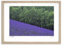 最大100%ポイントバック!限定抽選 アートフォト 絵画 ラベンダー6/中富良野町 高橋真澄/インテリア 額入り 額装込 風景画 油絵 ポスター アート アート...