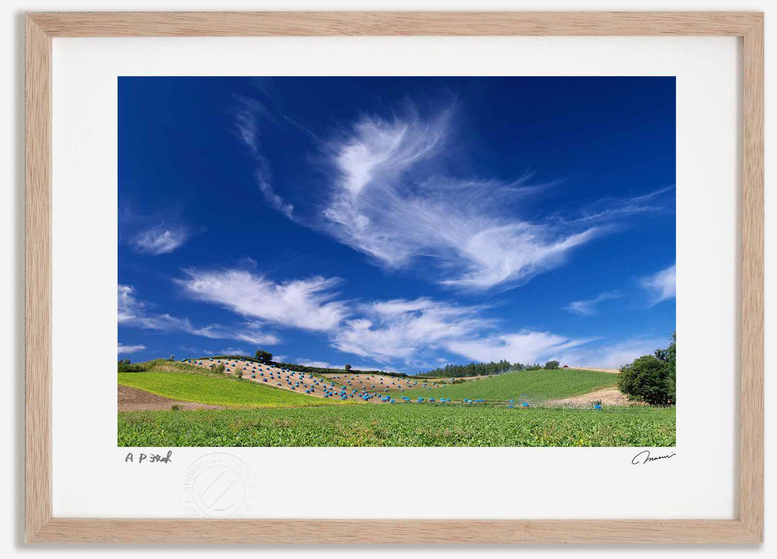 【スーパーSALE半額】アートフォト 絵画 秋の丘4 高橋真澄/インテリア 額入り 額装込 風景画 油絵 ポスター アート アートパネル リビング 玄関 プレゼ...