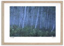 アートフォト 絵画 白樺とガス 高橋真澄/インテリア 額入り 額装込 風景画 油絵 ポスター アート アートパネル リビング 玄関 プレゼント モダン アートフレーム 飾る おしゃれ 壁掛け 絵