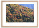 最大100%ポイントバック!限定抽選 アートフォト 絵画 紅葉の大雪山1 高橋真澄/インテリア 額入り 額装込 風景画 油絵 ポスター アート アートパネル リ...