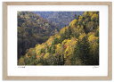 アートフォト 絵画 紅葉の大雪山2 高橋真澄/インテリア 額入り 額装込 風景画 油絵 ポスター アート アートパネル リビング 玄関 プレゼント モダン アー...