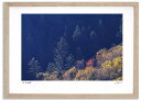 最大100%ポイントバック!限定抽選 アートフォト 絵画 大雪山の紅葉9 高橋真澄/インテリア 額入り 額装込 風景画 油絵 ポスター アート アートパネル リ...