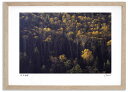 最大100%ポイントバック!限定抽選 アートフォト 絵画 大雪山の紅葉10 高橋真澄/インテリア 額入り 額装込 風景画 油絵 ポスター アート アートパネル ...