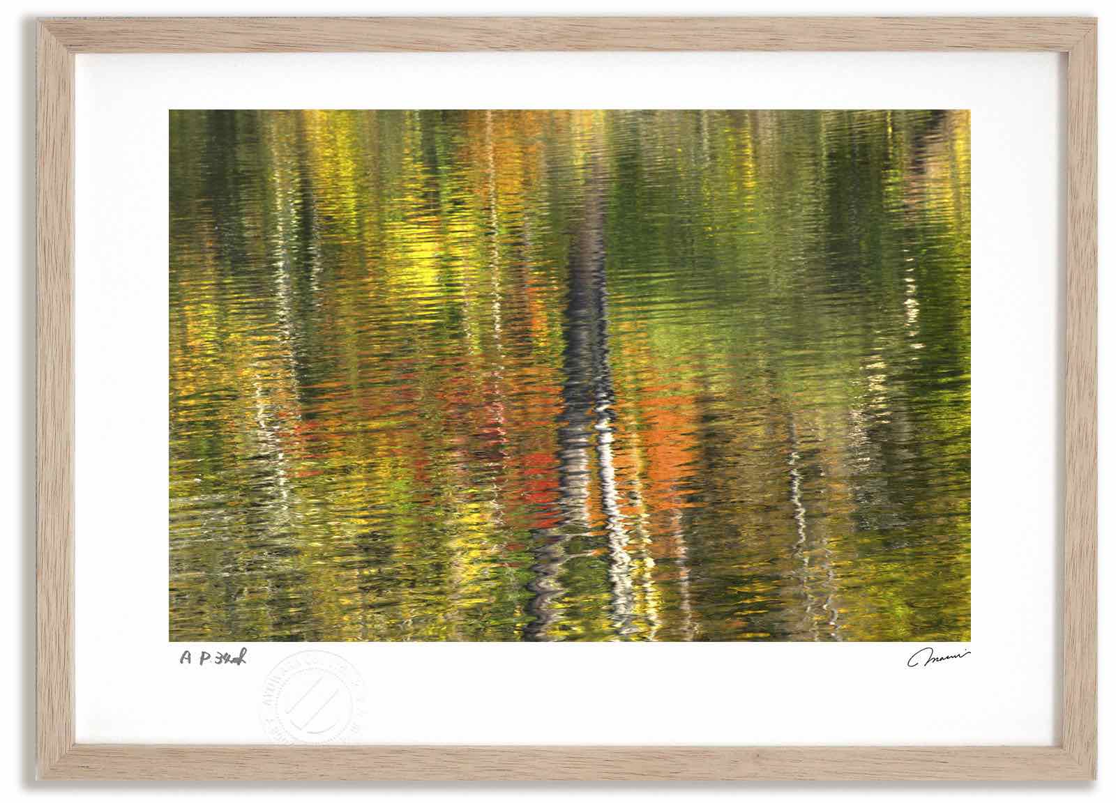 【スーパーSALE半額】アートフォト 絵画 ベスト 水に映る紅葉 高橋真澄/インテリア 額入り 額装込 風景画 油絵 ポスター アート アートパネル リビング ...