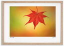 最大100%ポイントバック!限定抽選 アートフォト 絵画 紅葉35 高橋真澄/インテリア 額入り 額装込 風景画 油絵 ポスター アート アートパネル リビング...