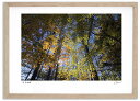 最大100%ポイントバック!限定抽選 アートフォト 絵画 紅葉36 高橋真澄/インテリア 額入り 額装込 風景画 油絵 ポスター アート アートパネル リビング...