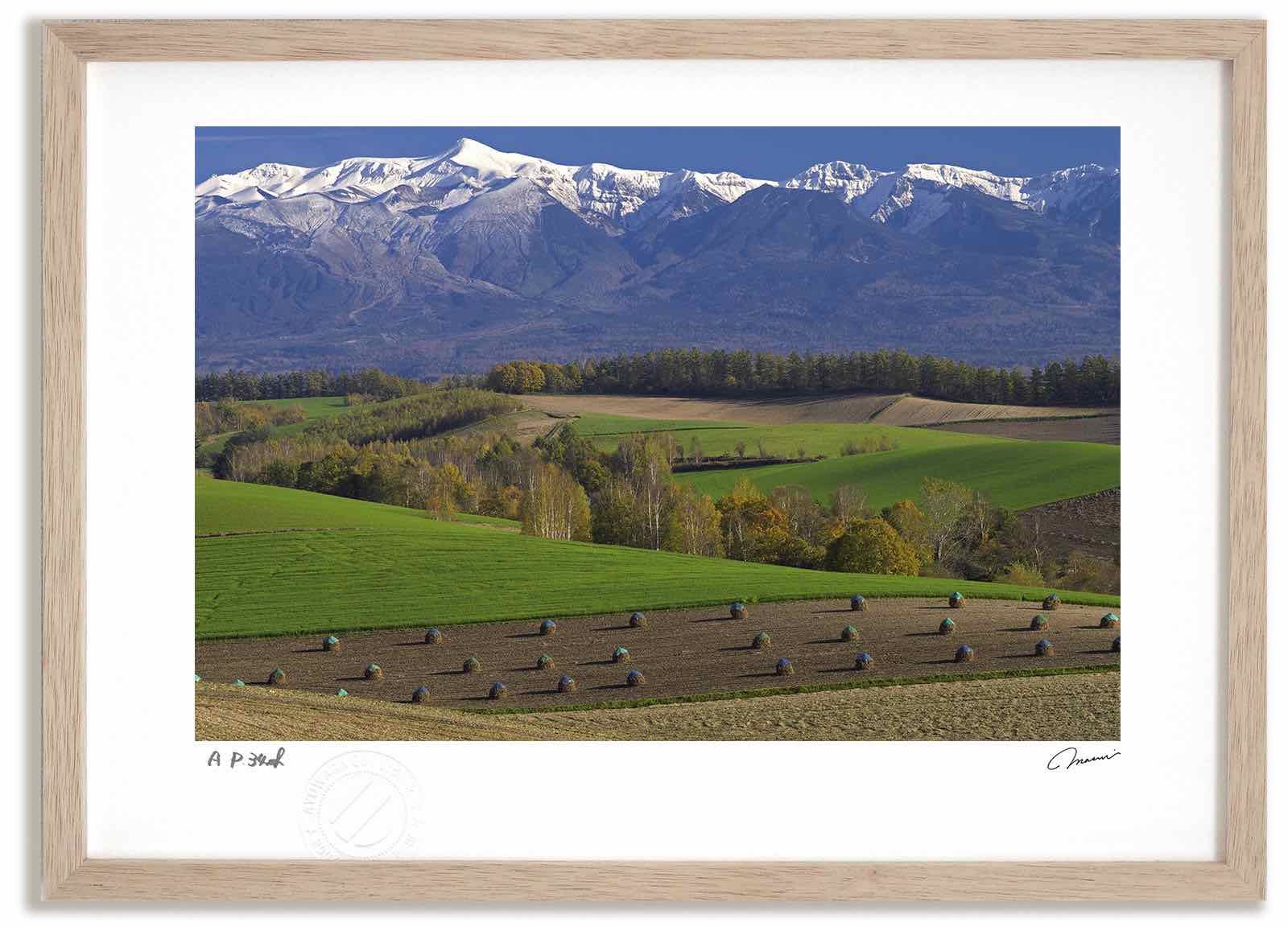 【スーパーSALE半額】アートフォト 絵画 秋の丘8 高橋真澄/インテリア 額入り 額装込 風景画 油絵 ポスター アート アートパネル リビング 玄関 プレゼ...