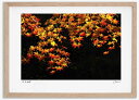 最大100%ポイントバック!限定抽選 アートフォト 絵画 紅葉38 高橋真澄/インテリア 額入り 額装込 風景画 油絵 ポスター アート アートパネル リビング...