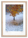 最大100%ポイントバック!限定抽選 アートフォト 絵画 初雪と紅葉1 高橋真澄/インテリア 額入り 額装込 風景画 油絵 ポスター アート アートパネル リビ...