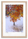 アートフォト 絵画 初雪と紅葉2 高橋真澄/インテリア 額入り 額装込 風景画 油絵 ポスター アート アートパネル リビング 玄関 プレゼント モダン アートフレーム 飾る おしゃれ 壁掛け 絵