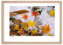 最大100%ポイントバック!限定抽選 アートフォト 絵画 紅葉と雪3 高橋真澄/インテリア 額入り 額装込 風景画 油絵 ポスター アート アートパネル リビン...