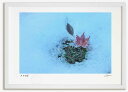 アートフォト 絵画 新雪と落ち葉5 高橋真澄/インテリア 額入り 額装込 風景画 油絵 ポスター アート アートパネル リビング 玄関 プレゼント モダン アートフレーム 飾る おしゃれ 壁掛け 絵