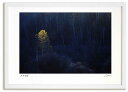 アートフォト 絵画 ベスト 寸光の白樺 高橋真澄/インテリア 額入り 額装込 風景画 油絵 ポスター アート アートパネル リビング 玄関 プレゼント モダン ...