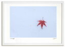 アートフォト 絵画 新雪と落ち葉7 高橋真澄/インテリア 額入り 額装込 風景画 油絵 ポスター アート アートパネル リビング 玄関 プレゼント モダン アートフレーム 飾る おしゃれ 壁掛け 絵