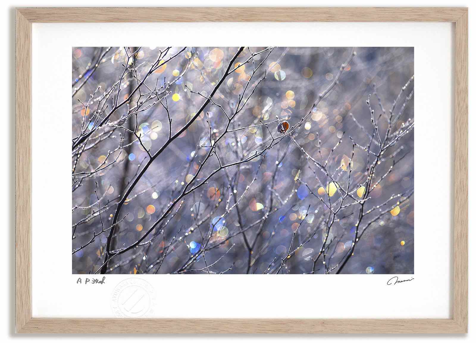 【スーパーSALE半額】アートフォト 絵画 七色の霧氷 高橋真澄/インテリア 額入り 額装込 風景画 油絵 ポスター アート アートパネル リビング 玄関 プレ...