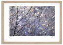 最大100%ポイントバック!限定抽選 アートフォト 絵画 七色の霧氷 高橋真澄/インテリア 額入り 額装込 風景画 油絵 ポスター アート アートパネル リビン...