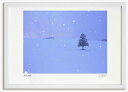 アートフォト 絵画 ベスト 春よ恋の木1 高橋真澄/インテリア 額入り 額装込 風景画 油絵 ポスター アート アートパネル リビング 玄関 プレゼント モダン アートフレーム 飾る おしゃれ 壁掛け 絵