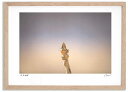 アートフォト 絵画 クルミの冬芽3 高橋真澄/インテリア 額入り 額装込 風景画 油絵 ポスター アート アートパネル リビング 玄関 プレゼント モダン アートフレーム 飾る おしゃれ 壁掛け 絵