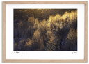 アートフォト 絵画 黄金色の霧氷とダイヤモンドダスト 高橋真澄/インテリア 飾る 額入り 額装込 風景画 油絵 ポスター アート 印象派 直筆 ビーチ アートパ...