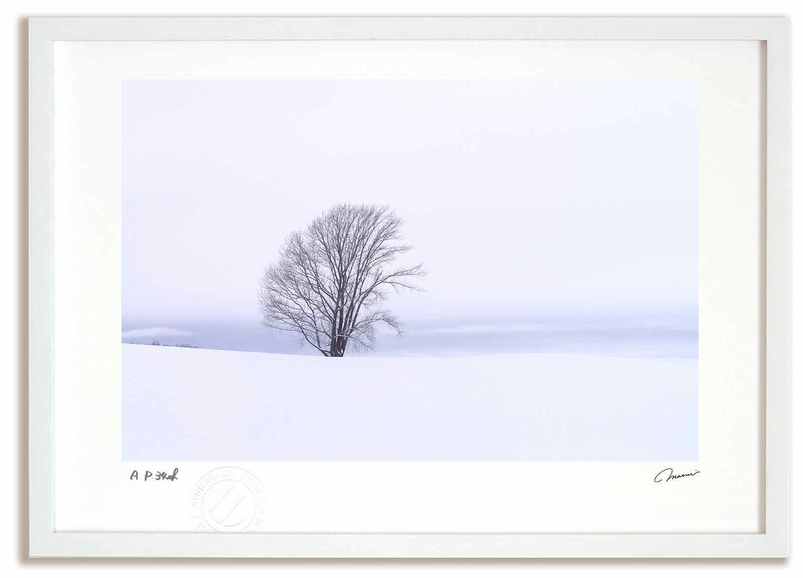 【スーパーSALE半額】アートフォト 絵画 哲学の木7 高橋真澄/インテリア 額入り 額装込 風景画 油絵 ポスター アート アートパネル リビング 玄関 プレ...