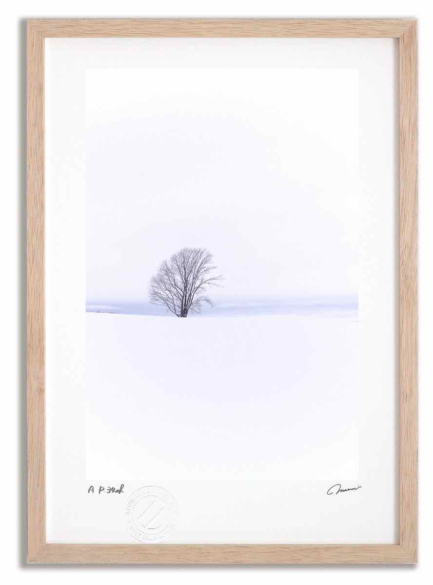 【スーパーSALE半額】アートフォト 絵画 哲学の木8 高橋真澄/インテリア 額入り 額装込 風景画 油絵 ポスター アート アートパネル リビング 玄関 プレ...