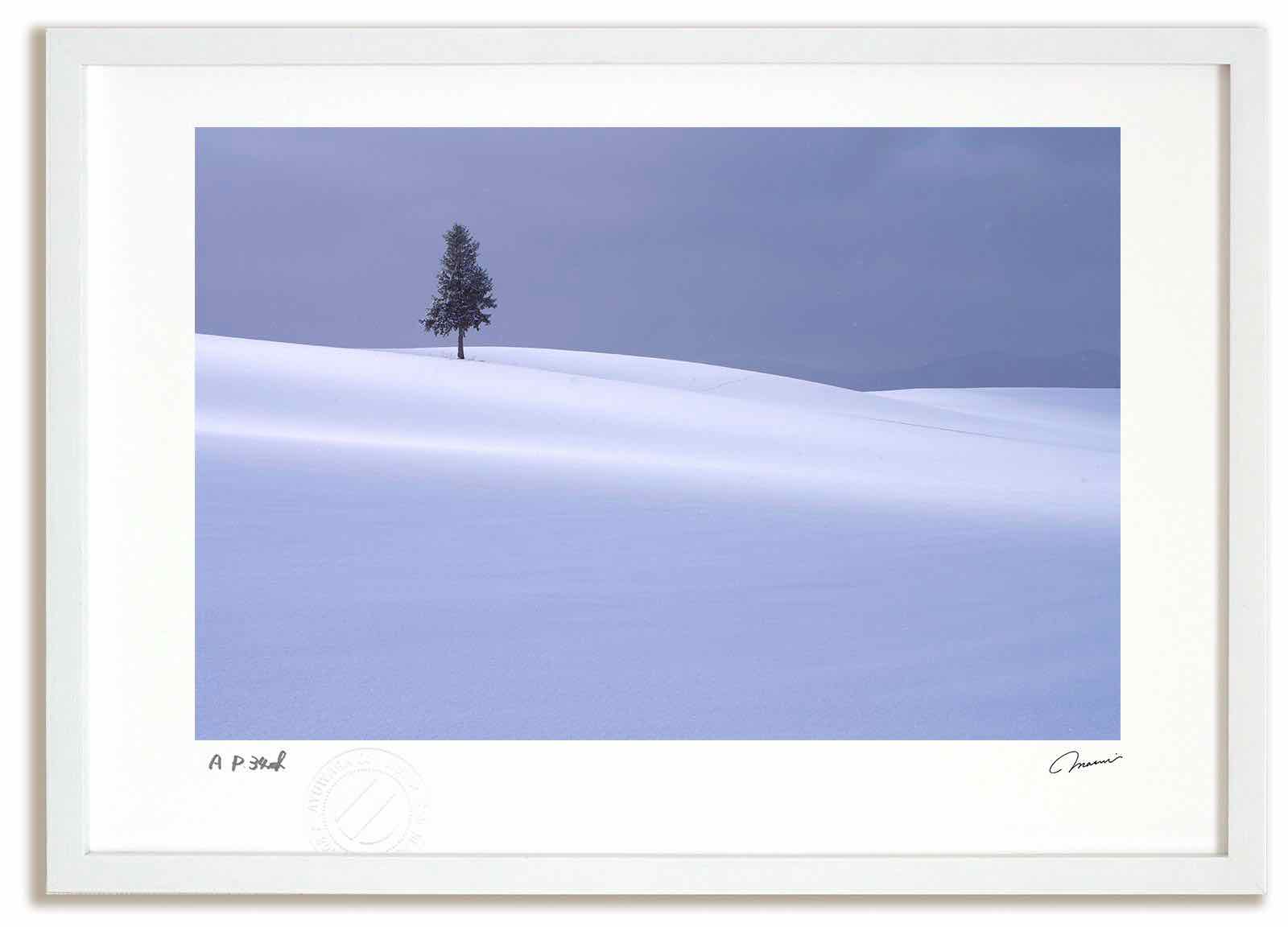 【スーパーSALE半額】アートフォト 絵画 ベスト 寸光の丘7 高橋真澄/インテリア 額入り 額装込 風景画 油絵 ポスター アート アートパネル リビング 玄...