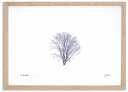 最大100%ポイントバック!限定抽選 アートフォト 絵画 哲学の木9 高橋真澄/インテリア 額入り 額装込 風景画 油絵 ポスター アート アートパネル リビン...