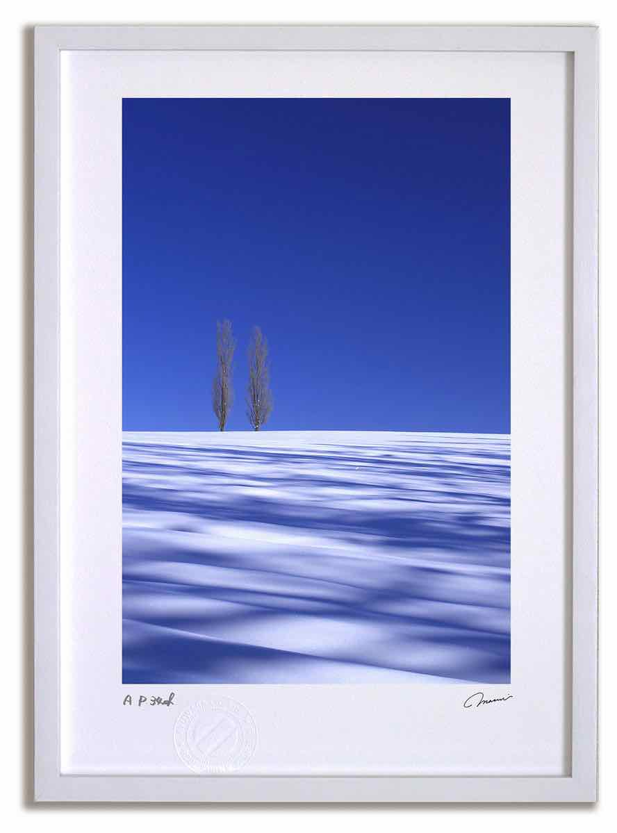 【スーパーSALE半額】アートフォト 絵画 ポプラと蒼い影6 高橋真澄/インテリア 額入り 額装込 風景画 油絵 ポスター アート アートパネル リビング 玄関...