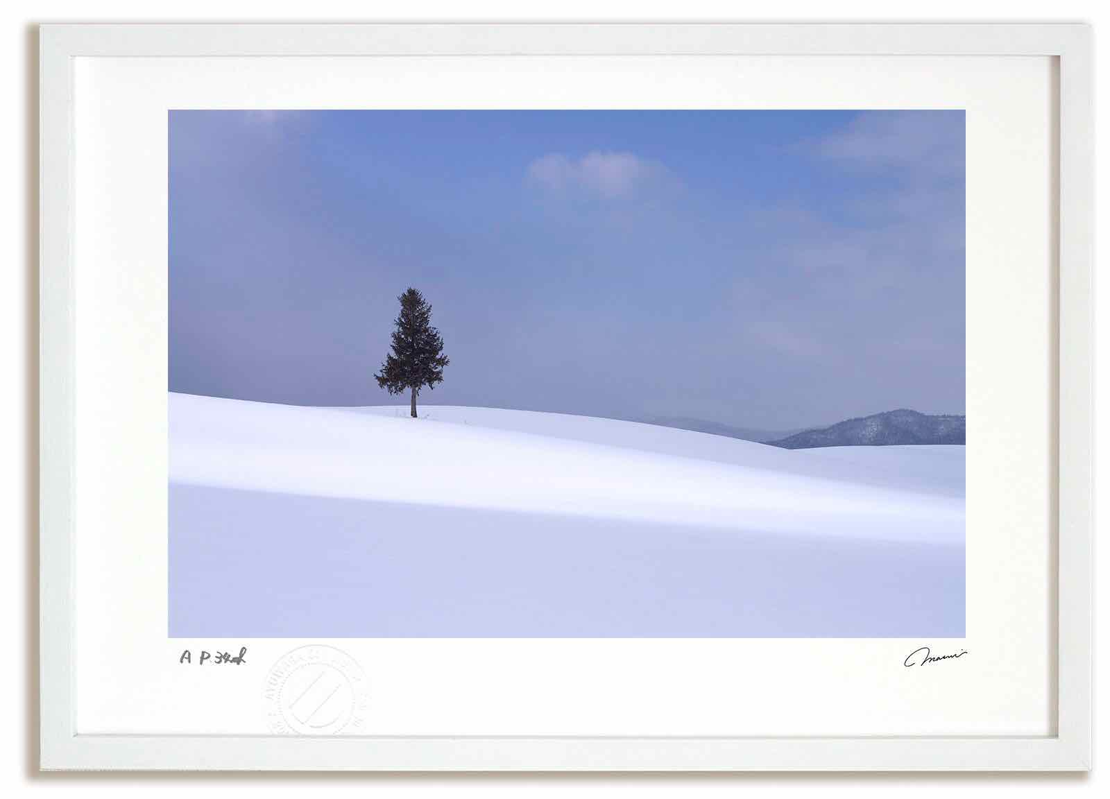 【スーパーSALE半額】アートフォト 絵画 寸光の丘8 高橋真澄/インテリア 額入り 額装込 風景画 油絵 ポスター アート アートパネル リビング 玄関 プレ...