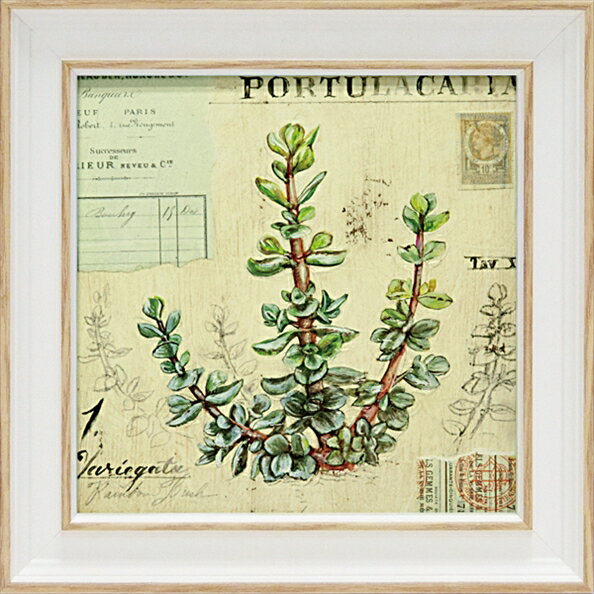 絵画 ゆうパケット ミニゲル アートフレーム アンジェラ スターリング「ポーチュラカリア」/インテリア 飾る 額入り 額装込 油絵 ポスター アート ルネッサン...