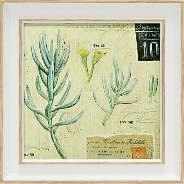 絵画 ゆうパケット ミニゲル アートフレーム アンジェラ スターリング「セネシオ」/インテリア 飾る 額入り 額装込 油絵 ポスター アート 印象派 直筆 ビー...