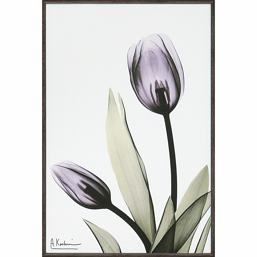 キャンバスアート X RAY キャンバスアート「チューリップ(Sサイズ)」ゆうパケット /インテリア 額入り 額装込 風景画 ポスター アート シンプルモダン ...