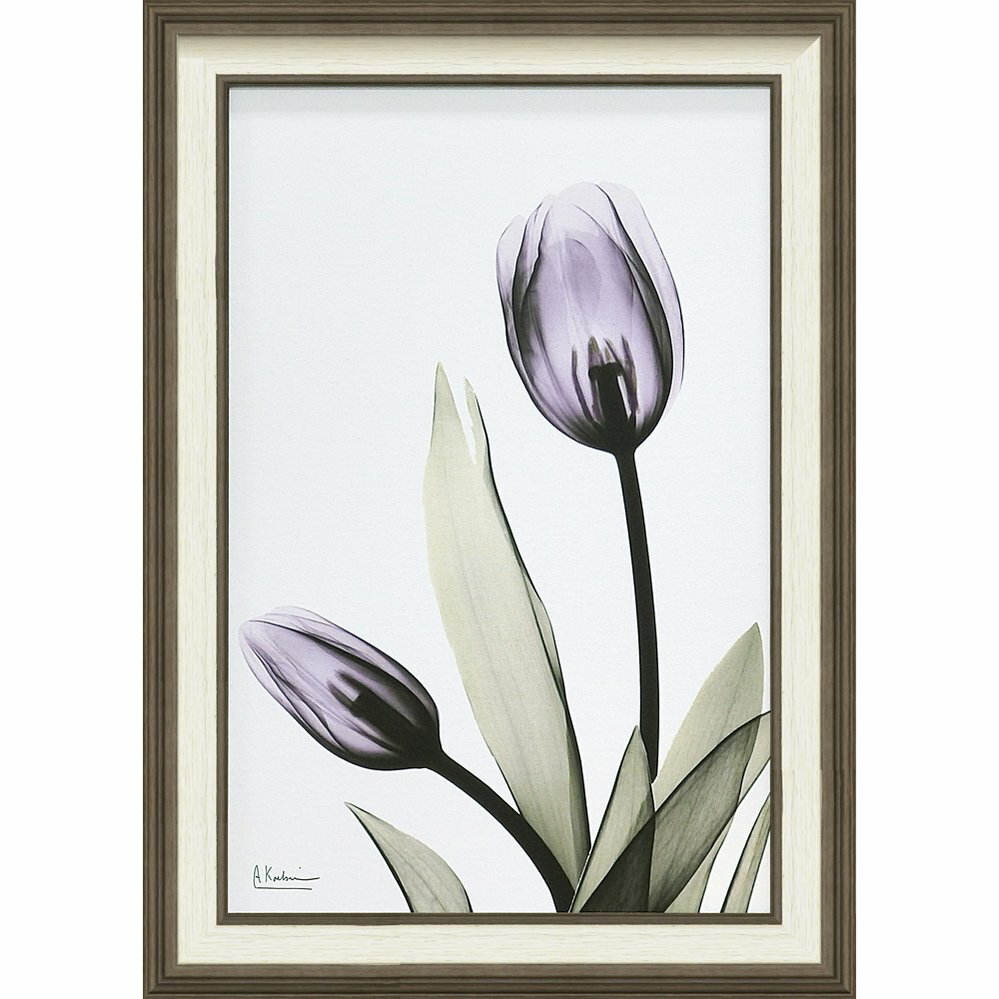 【スーパーSALE10%OFF】キャンバスアート X RAY キャンバスアート「チューリップ(Mサイズ)」/インテリア 額入り 額装込 風景画 ポスター アート...