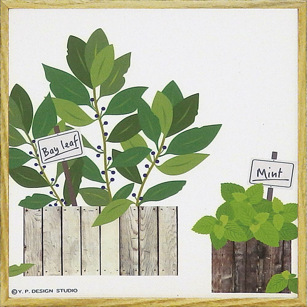 キャンバスアート モダン キャンバスアート ハーブ コレクション「ベイリーフ アンド ミント(Sサイズ)」 /インテリア 額入り 額装込 風景画 ポスター グリ...