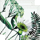 コースター ヴェルト デコル 〜テーブルウェア シリーズ〜 「コースター2枚セット(フレッシュ グリーンA)」ゆうパケット/インテリア 額入り 額装込 油絵 ポ...