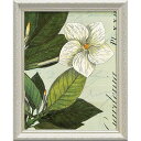 絵画 ワイルド アップル スタジオ「ボタニーク ブルー3」/インテリア 額入り 額装込 風景画 油絵 ポスター アート アートパネル リビング 玄関 プレゼント モダン アートフレーム 飾る Mサイズ おしゃれ 壁掛け 絵