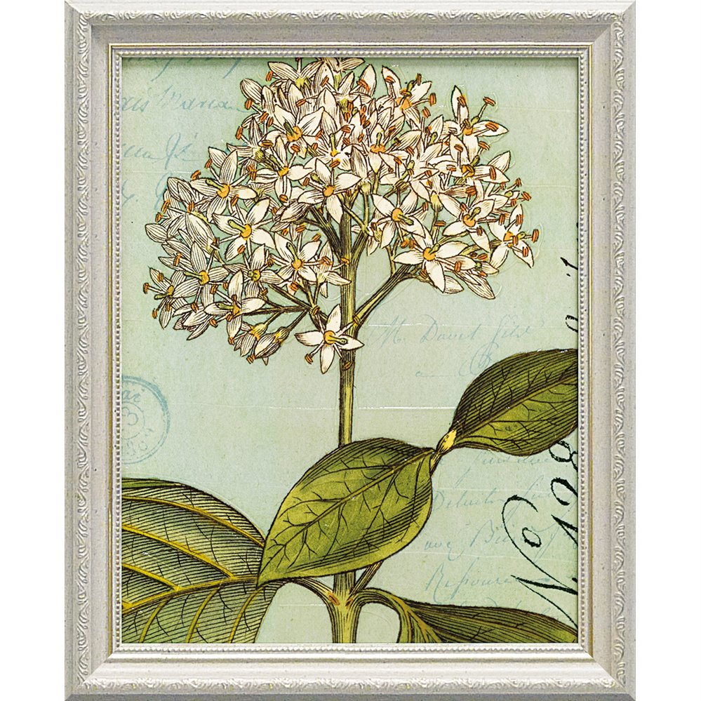 【スーパーSALE10%OFF】絵画 ワイルド アップル スタジオ「ボタニーク ブルー4」/インテリア 額入り 額装込 風景画 油絵 ポスター アート アートパ...