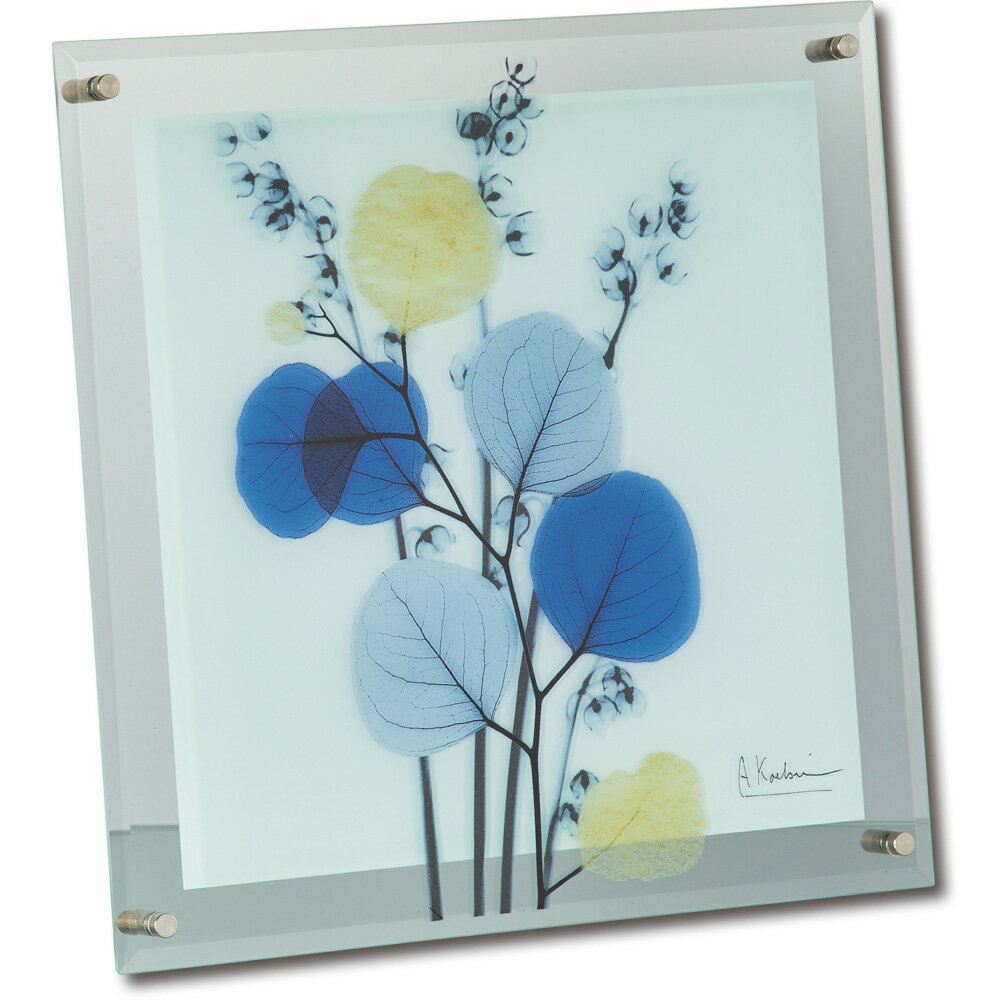 レントゲンフォト X RAY ガラス アート「カラフルユーカリ(Mサイズ)」 インテリア モダン 透き通った 写真 リビング ギフト 玄関 飾る プレゼント 御...