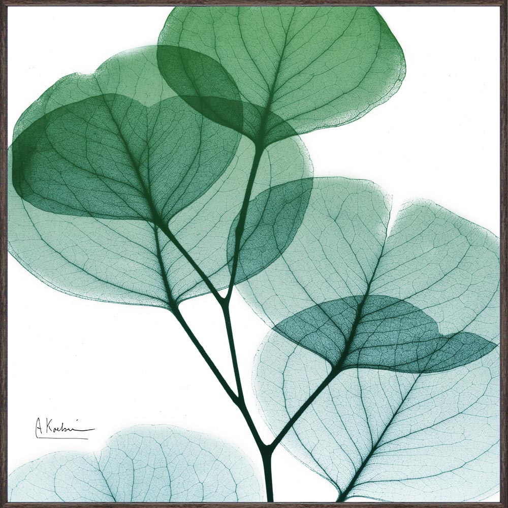 【スーパーSALE10%OFF】絵画 XRAYキャンバスアート「ユーカリメイト(スクエアS)」 レントゲンアート フレーム付き インテリア リビング 玄関 寝室...