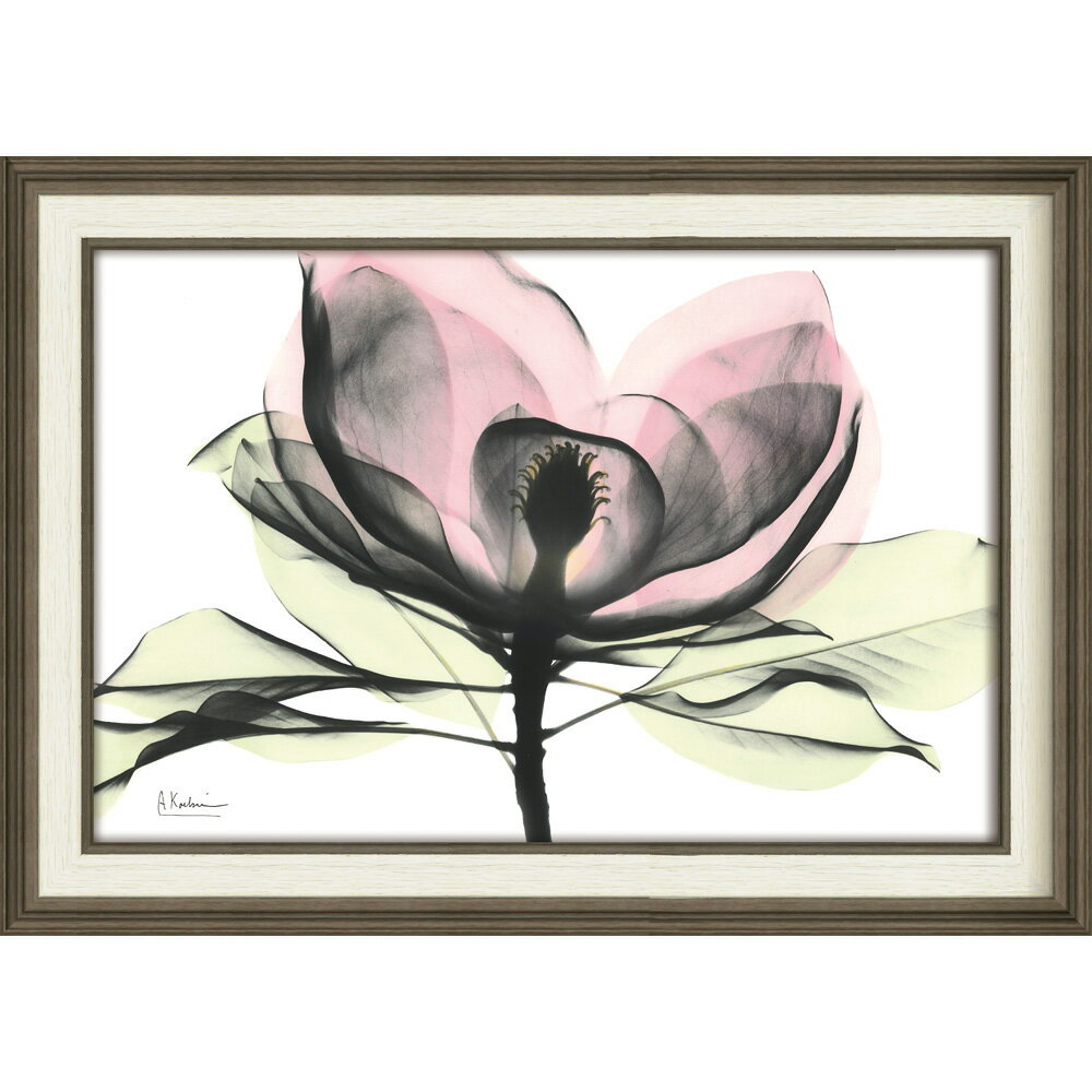 【スーパーSALE10%OFF】絵画 XRAYキャンバスアート「ピンクマグノリア(Mサイズ)」 レントゲンアート フレーム付き インテリア リビング 玄関 寝室...