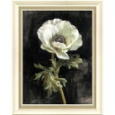 絵画 ダンフイ ナイ「アネモネ ブラック」 花 フラワー おしゃれ インテリア 植物画 ギフト 額付き 壁掛け 額入り アートフレーム リビング 玄関 店舗 L...