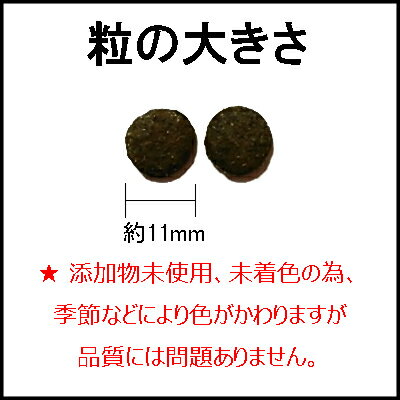 【お試しに】AZアゼットプロフェッショナル ドッグフードアレルギーケア　ラム＆ポテト　 1kg×1袋 並粒（グレインフリー穀物不使用）【沖縄離島送料別途掛ります】