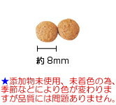 【お試しに】AZアゼットプロフェッショナル ドッグフードアレルギーケア　フィッシュ＆ポテト　1kg×1袋 小粒（グレインフリー穀物・肉類不使用）【沖縄離島送料別途掛ります】