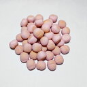 国産無添加おやつシリーズ ブルーベリーボーロ ペット用おやつ【メール便送料無料】
