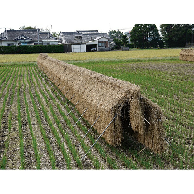 ★稲の掛け干し ほすべー　3段掛 5畝歩セット「正規品」南栄工業※メーカー（九州）から直送（代引き不可、北海道・沖縄・離島は別途運賃）アズ価格